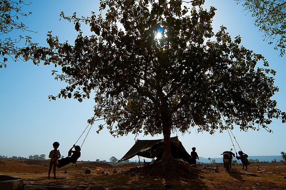Chitrakoot - huśtawka na drzewie (Indie 2010 - zabytki i inne miejsca)
